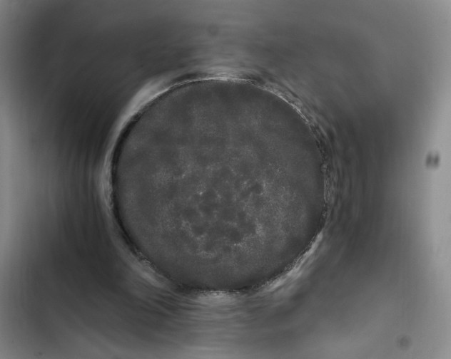 X0000102800198200809150937