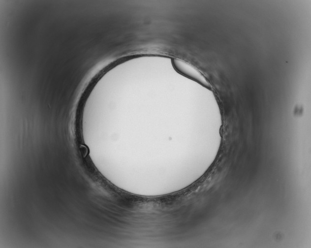 X0000102800200200809150937