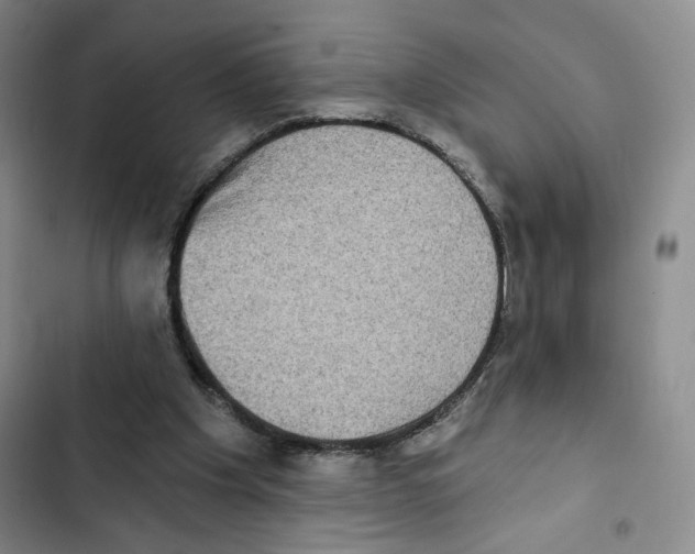 X0000102800201200809150937