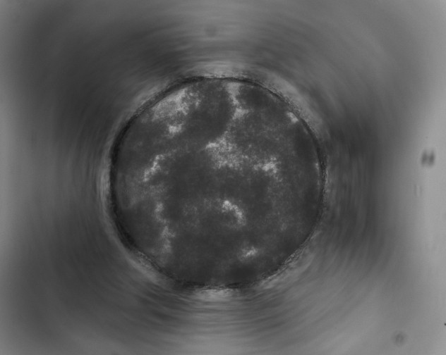 X0000102800202200809150937