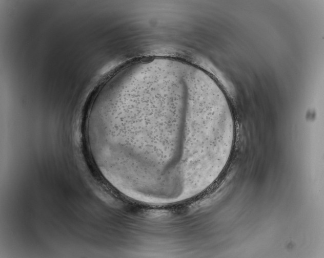 X0000102800203200809150937