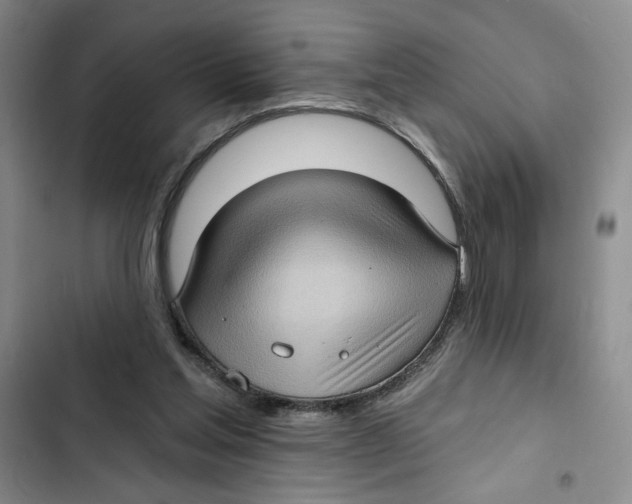 X0000102800205200809150937