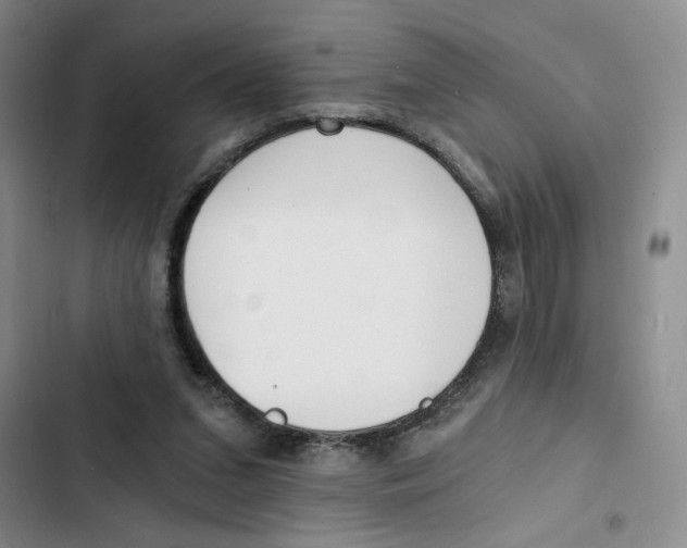 X0000102800207200809150936