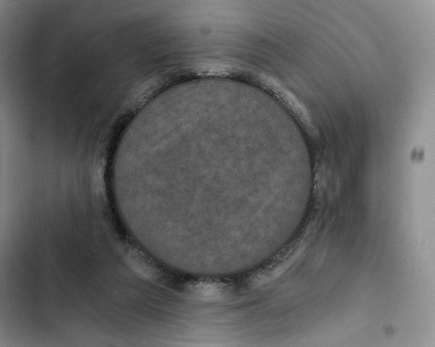 X0000102800209200809150936