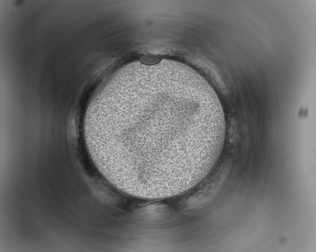 X0000102800210200809150936