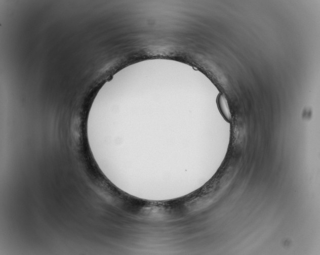 X0000102800211200809150936