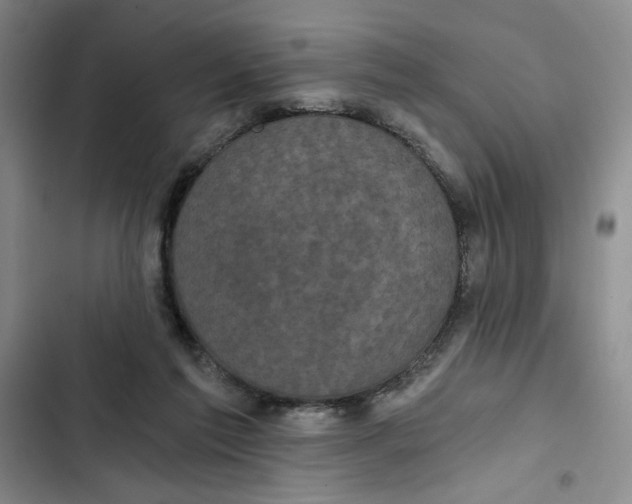 X0000102800213200809150936