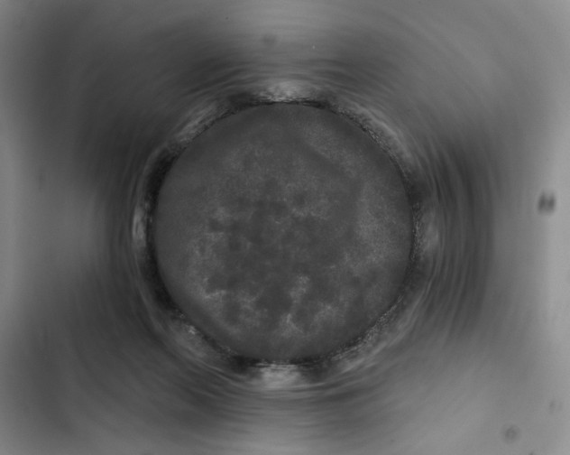 X0000102800214200809150936