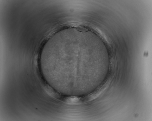 X0000102800217200809150936