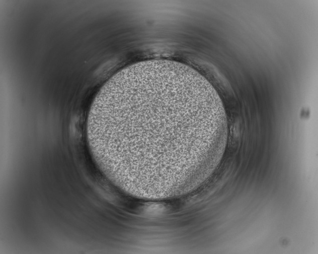 X0000102800218200809150936