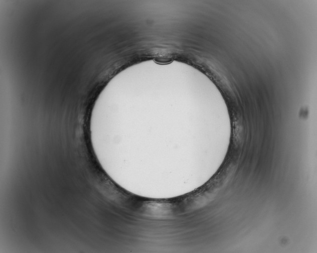 X0000102800221200809150936