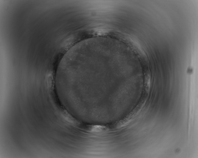 X0000102800222200809150936