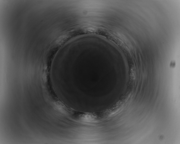 X0000102800223200809150936