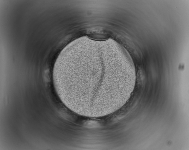 X0000102800224200809150936