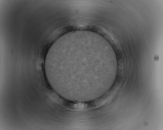 X0000102800225200809150936