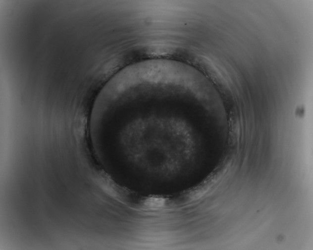 X0000102800227200809150936