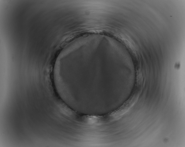 X0000102800229200809150936