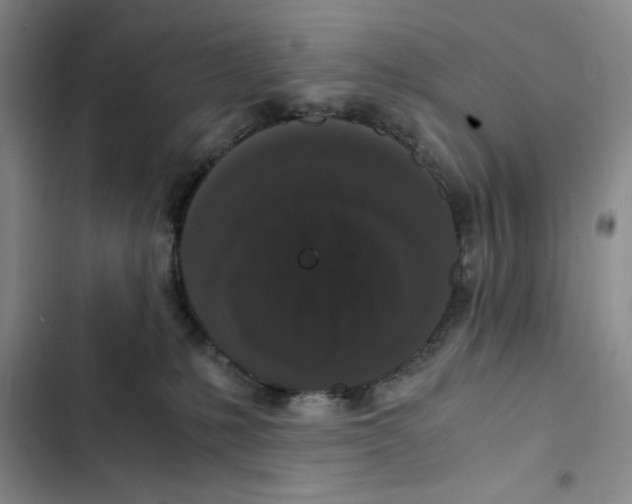 X0000102800231200809150936