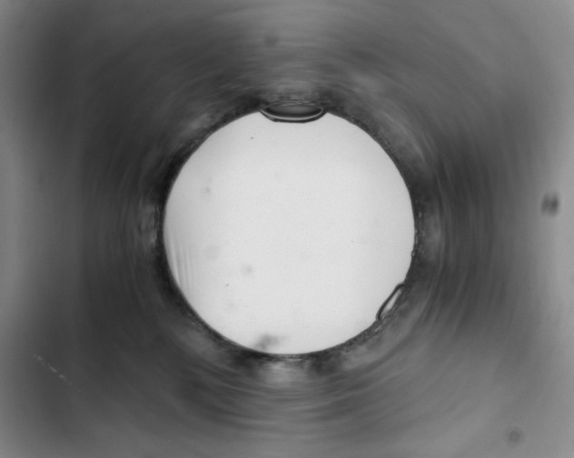 X0000102800232200809150936