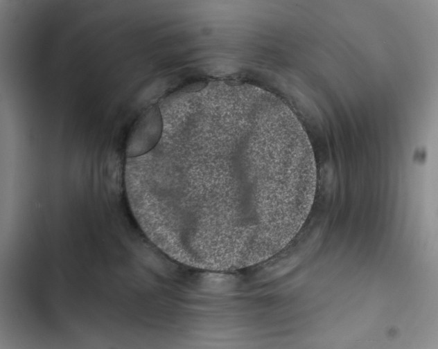 X0000102800234200809150936