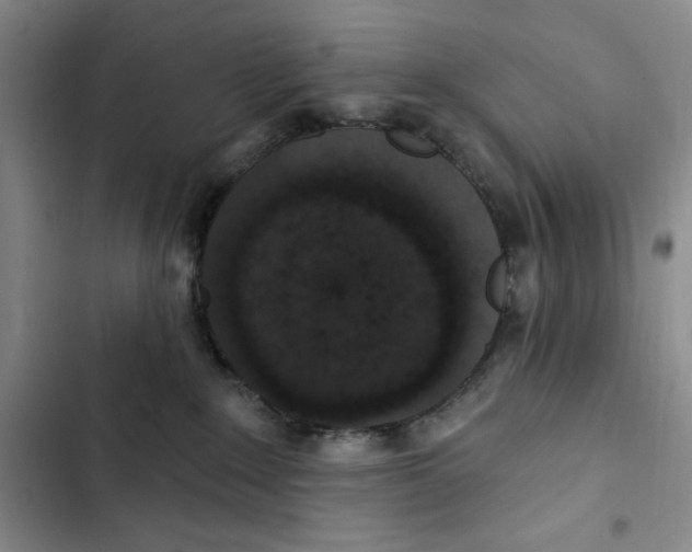 X0000102800235200809150936