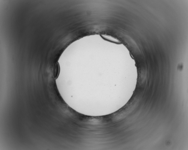 X0000102800236200809150936