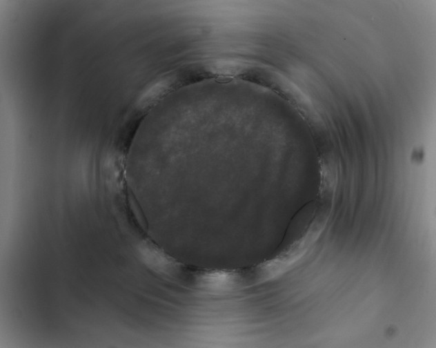 X0000102800237200809150936