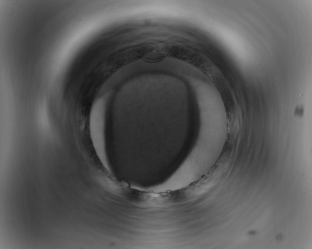 X0000102800239200809150936