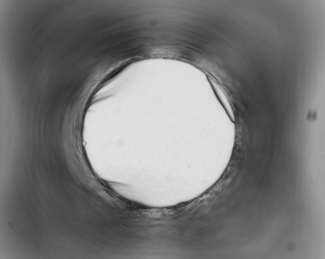 X0000102800241200809150935