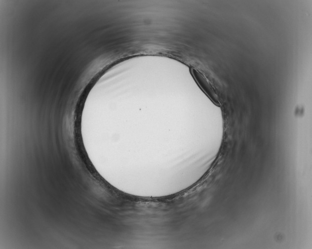 X0000102800242200809150935