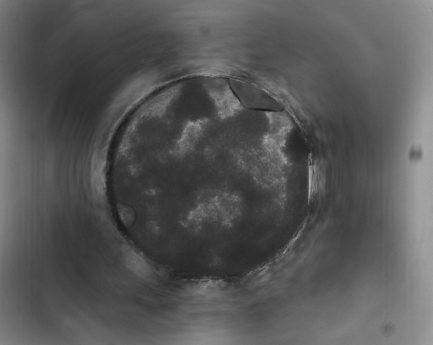 X0000102800243200809150935