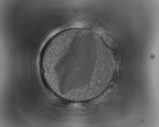 X0000102800244200809150935