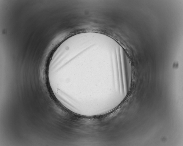 X0000102800245200809150935