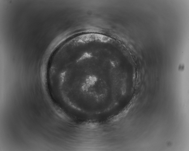 X0000102800247200809150935