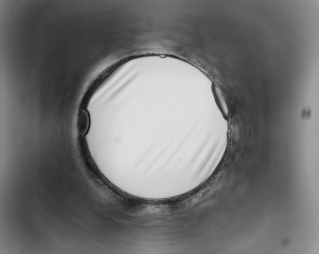 X0000102800248200809150935