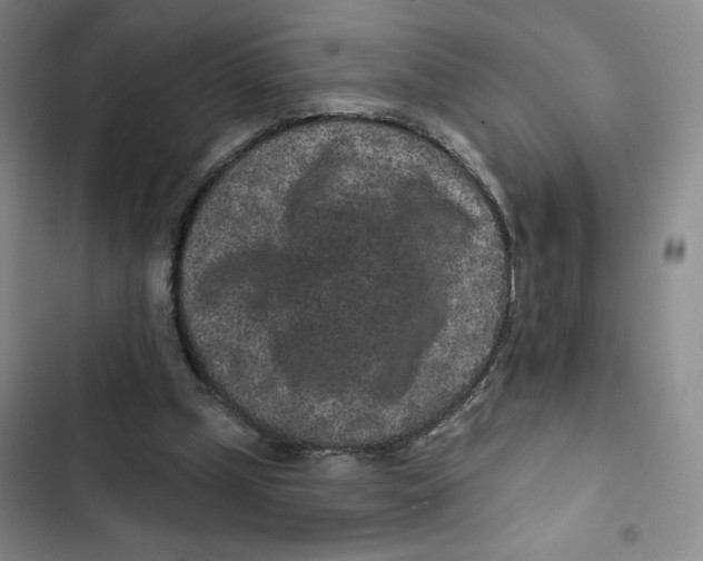 X0000102800249200809150935