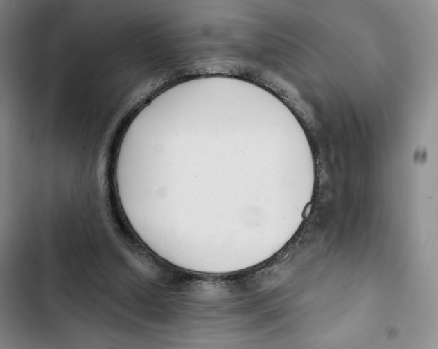 X0000102800250200809150935