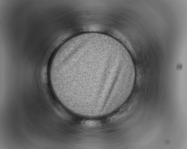 X0000102800251200809150935