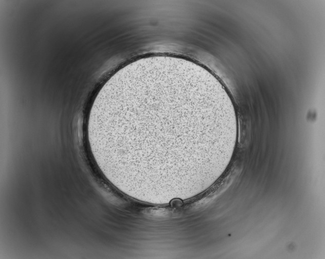 X0000102800253200809150935