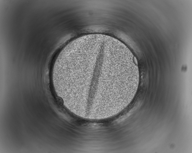 X0000102800254200809150935