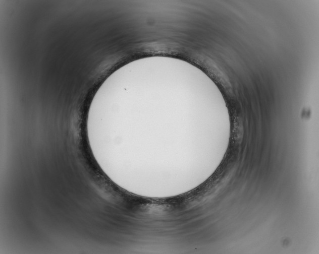 X0000102800255200809150935