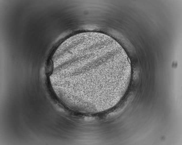 X0000102800256200809150935