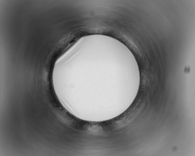 X0000102800258200809150935