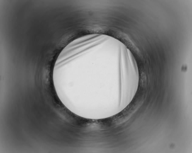 X0000102800259200809150935