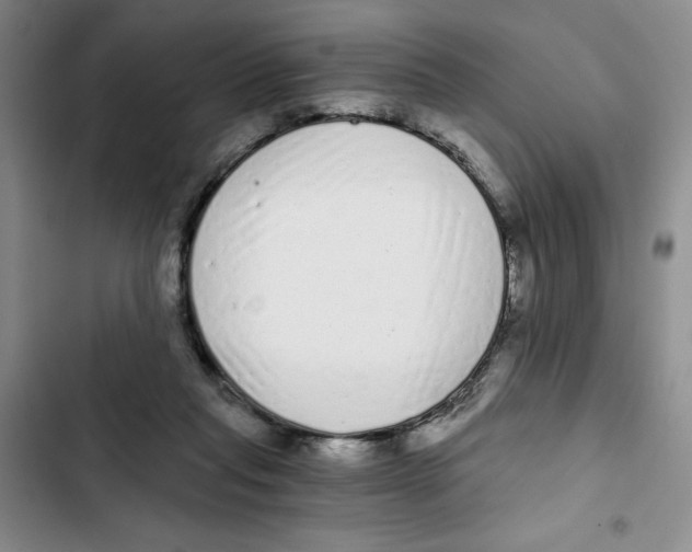 X0000102800261200809150935