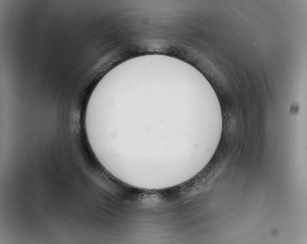 X0000102800262200809150935