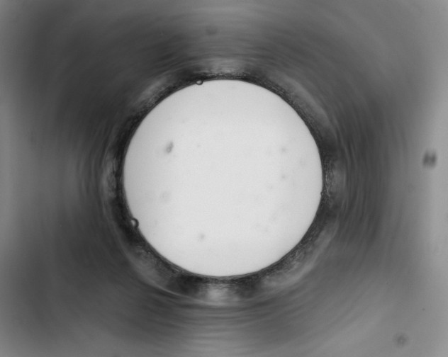 X0000102800264200809150936