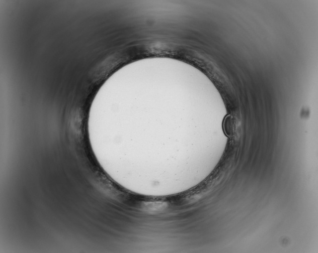 X0000102800266200809150936