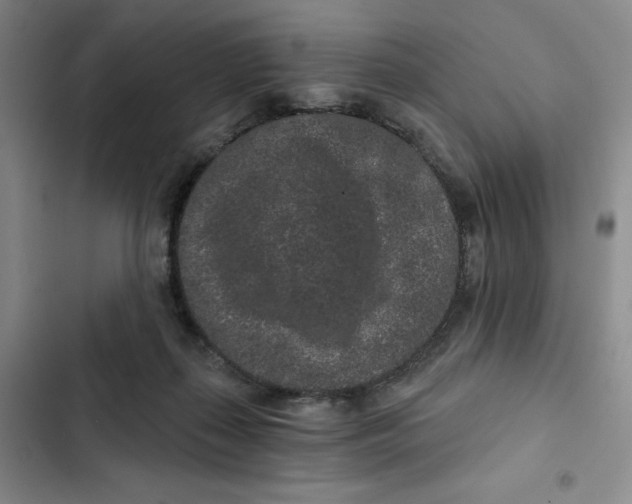 X0000102800267200809150936