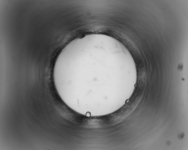 X0000102800268200809150936